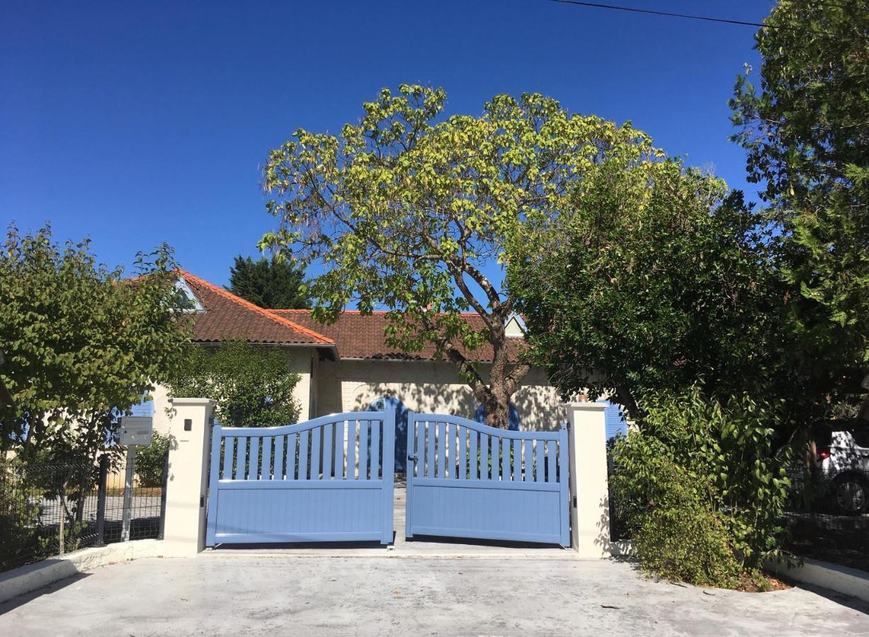Chambres D'Hote Le Cedre Bleu 圣让 外观 照片
